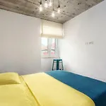Apartment Orion